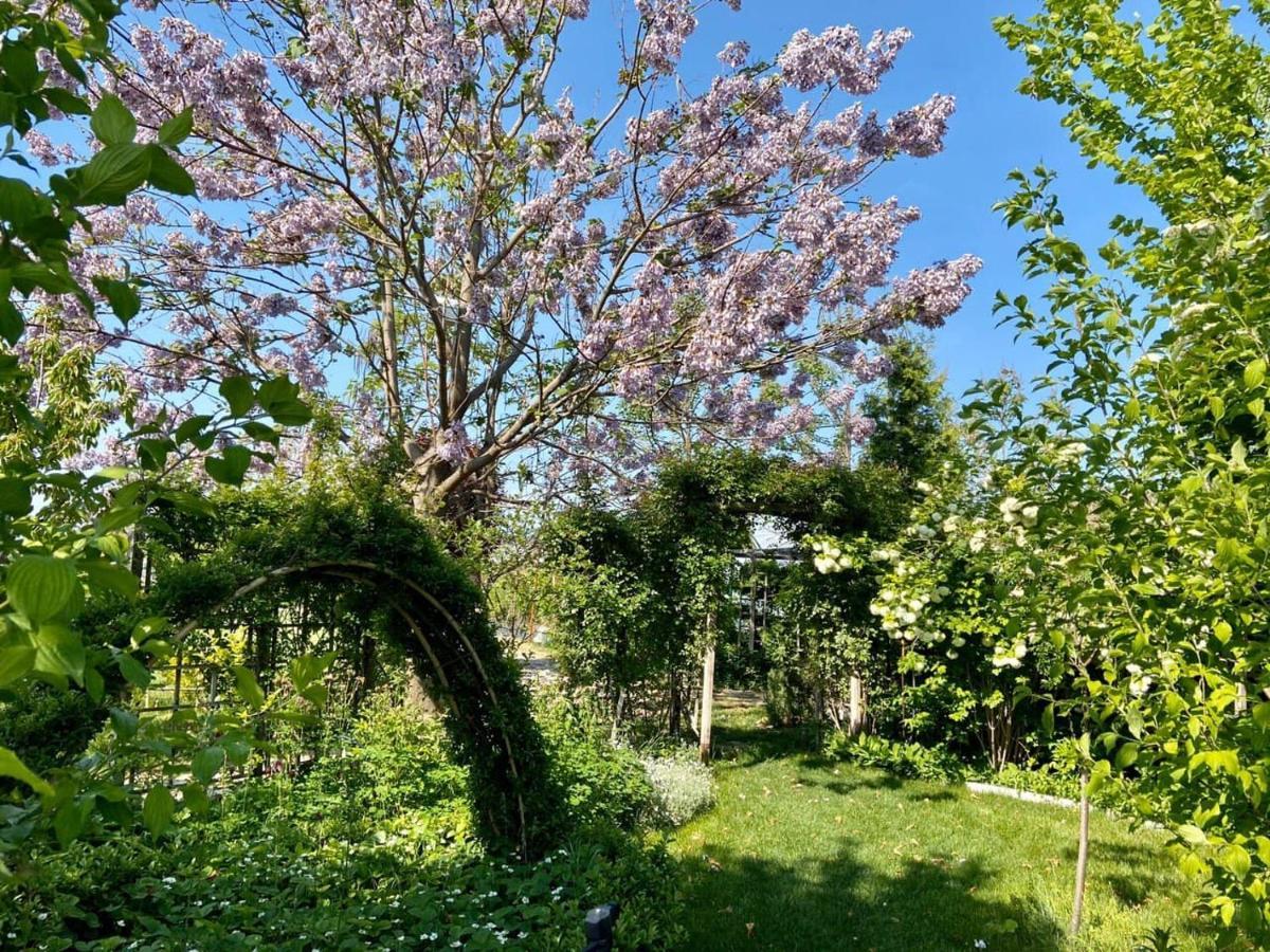 Uzumfermer Hotel & Winery Taszkent Zewnętrze zdjęcie